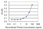 VCP Antibody (monoclonal) (M03)